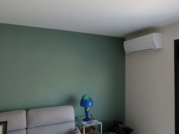 Salon avec mur vert sauge